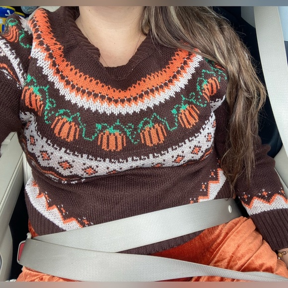 NEW The Cozy Pumpkin Chevron Sweater - Picture 5 of 6